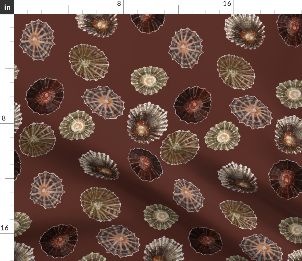 Limpets - large scale - red background