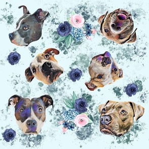Pit Bull Floral
