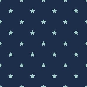 Star Coordinate for Airplane Cheater quilt