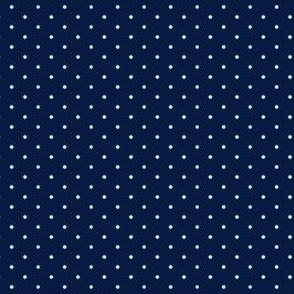 (XXS) Dots loose XXS Mint on Midnight Blue