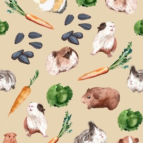 Guinea pigs with carrots and cabbages