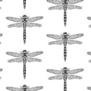 Dragonflies in monochrome, half-drop