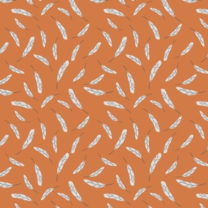 Feathers On Orange 