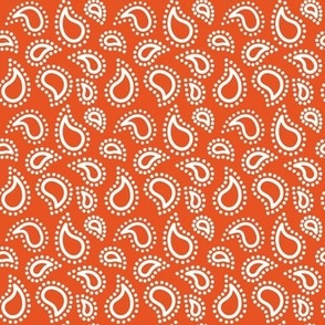 Mini paisley to match petal solid carrot