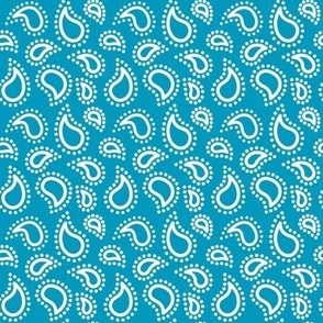 Mini paisley to match petal solid Caribbean 