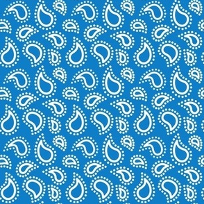 Mini paisley to match petal solid bluebell