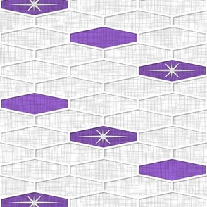 Palm Springs Hexagon Starburst - Purple