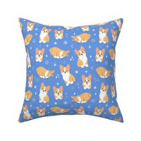 Cute corgis and stars on blue