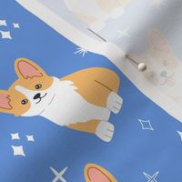 Cute corgis and stars on blue