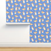 Cute corgis and stars on blue