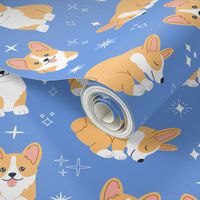 Cute corgis and stars on blue