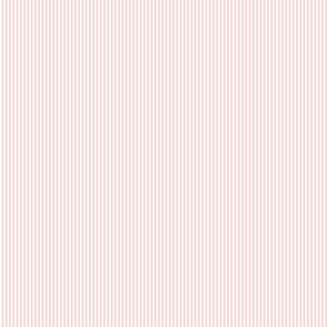 blush pink stripe 