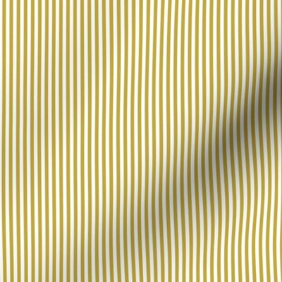 gold stripe