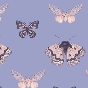 Avonley Moths & Butterflies - Periwinkle