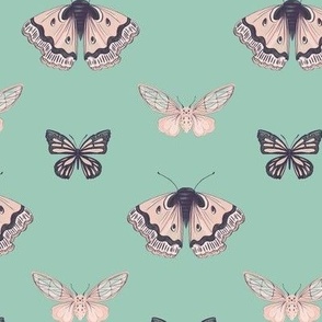Avonley Butterflies and Moths Teal