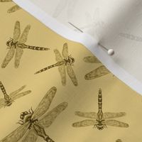 Dragonflies in sepia on maize background