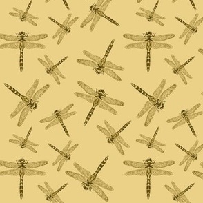 Dragonflies in sepia on maize background