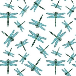 Dragonflies - white background