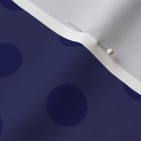 light blue linen with dark blue linen polka dots