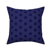 light blue linen with dark blue linen polka dots