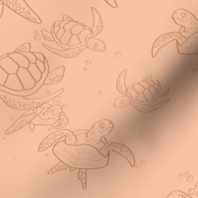 sea collection: TURTLES
