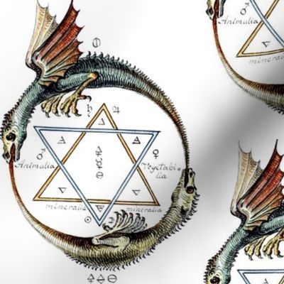 Ouroboros double dragons eat tails hexagram 6 pointed star pentacle alchemy alchemical symbols magic mystic occult magick spells  ancient antique green yellow mystical magic circles serpent elements metals planets snake air fire lead saturn tin jupiter ir