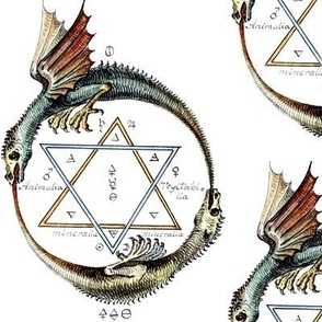 Ouroboros double dragons eat tails hexagram 6 pointed star pentacle alchemy alchemical symbols magic mystic occult magick spells  ancient antique green yellow mystical magic circles serpent elements metals planets snake air fire lead saturn tin jupiter ir