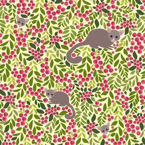 Ditzy Peek-A-Boo Possum in Lilly Pilly 