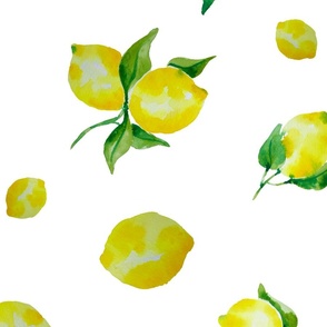 Tuscan Lemons coordinate