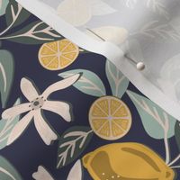 Citrus and Mint on Navy, Small 