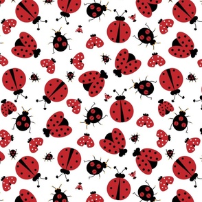 Ladybugs Adventure