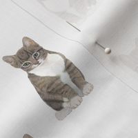 Tabby Cat (Grey)