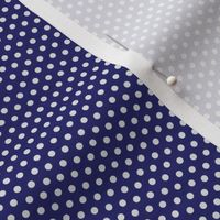 Dark blue rock wall with petite white linen polka dots