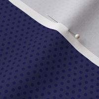 light blue linen with petite dark blue linen polka dots