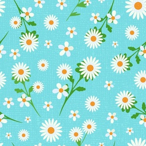 Textured daisy flower on aqua blue,  daisy print