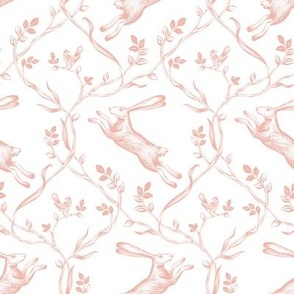 Leaping Hares - Country Pink