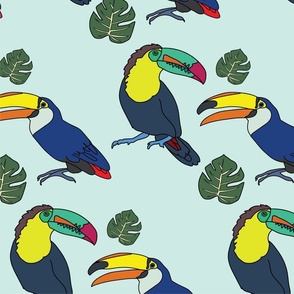 Toucan Pattern by Courtney Graben