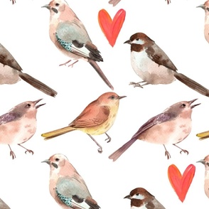 watercolor birds and hearts