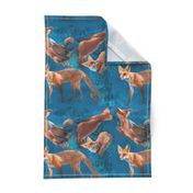Large 12x12 Size of Young Foxes on Glorious Blue Background