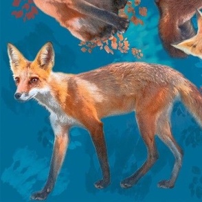 Large 12x12 Size of Young Foxes on Glorious Blue Background