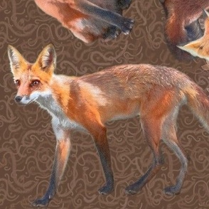 Large 12x12-Inch Size of Multidirectional Young Foxes on Oak Brown Background