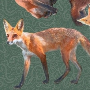 Large 12x12 Size of Young Foxes on Forest Green Background