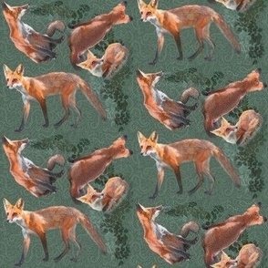 Small 4x4 Size of Young Foxes on Forest Green Background