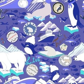 Antartic dreams in peri color pallette