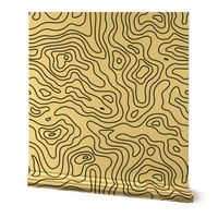 White and Black Stripes Wave Elevation Topographic Topo Map Pattern 