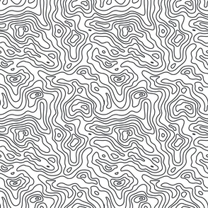 White and Black Stripes Wave Elevation Topographic Topo Map Pattern 