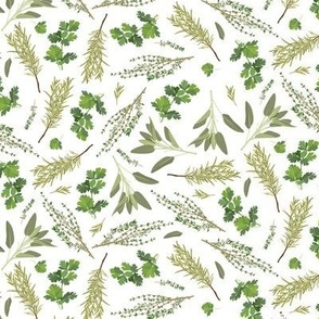 parsley, sage, rosemary and thyme - white