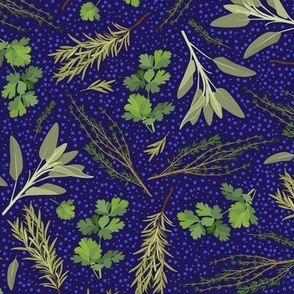 parsley, sage, rosemary and thyme - dark blue