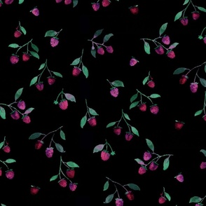 Ikat Style Raspberries (Black Ground)