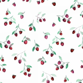 Ikat Style Raspberries (White Ground)